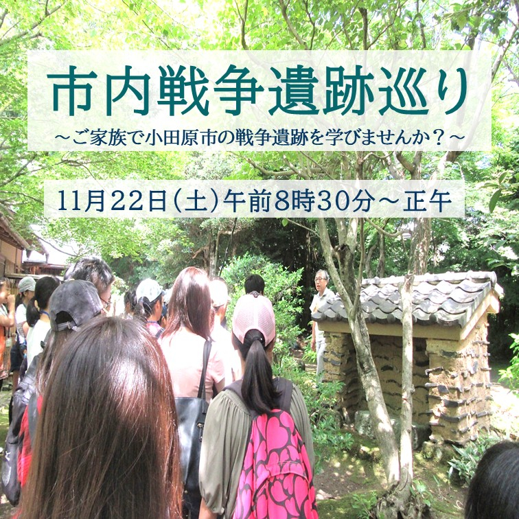 (新しいウインドウで開きます)