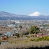 曽我梅林と富士山(1枚目)写真を拡大表示する