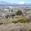 曽我梅林と富士山(2枚目)写真を拡大表示する