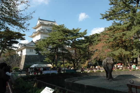 天守閣とウメ子