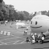 緑と花の展覧会(1枚目)写真を拡大表示する