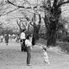 城内小横桜並木(1枚目)写真を拡大表示する