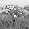 山王川久野川清掃(4枚目)写真を拡大表示する