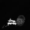 海上花火大会(1枚目)写真を拡大表示する