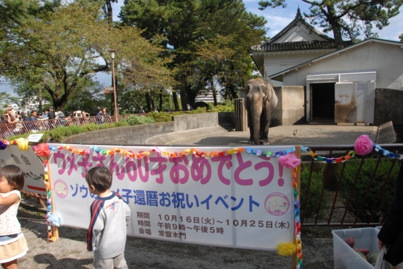 ウメ子の還暦祝い