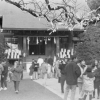 二宮神社の初詣風景(1枚目)写真を拡大表示する