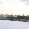 小田原城雪景色(3枚目)写真を拡大表示する