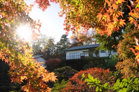 松永記念館の紅葉