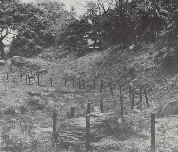 早川口二重遺構に残る外郭土塁