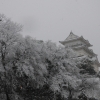 小田原城雪景色(1枚目)写真を拡大表示する