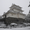 小田原城雪景色(4枚目)写真を拡大表示する