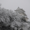 小田原城雪景色(5枚目)写真を拡大表示する