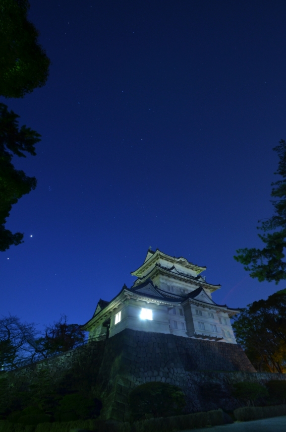 小田原城天守閣夜景