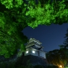 小田原城天守閣夜景(2枚目)写真を拡大表示する