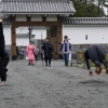 第48回小田原北條五代祭り(2枚目)写真を拡大表示する