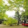 松永記念館茶会(1枚目)写真を拡大表示する