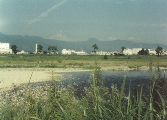 桑原からの酒匂川