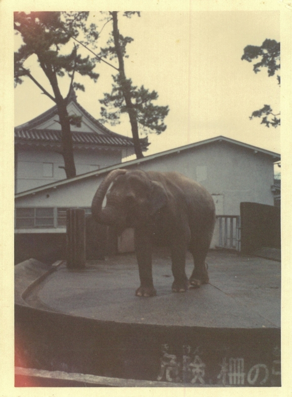 ウメ子さん