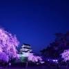 小田原城夜桜ライトアップ(3枚目)写真を拡大表示する