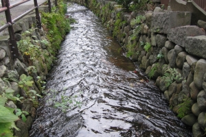 【6月2日】郷土探究会「小田原用水をたずねて」参加者募集