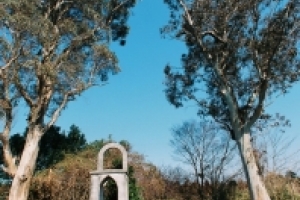 辻村植物公園