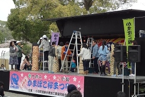 第29回小田原かまぼこ桜まつり【3月29日(土)・30日(日)】