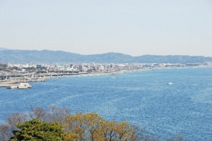 潮騒の駅根府川・江之浦漁港コース