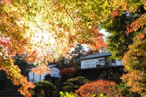 郷土文化館・分館松永記念館