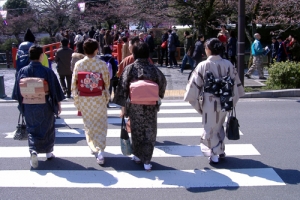 小田原桜まつり「きもので街歩き」(3月24日(土)・25日(日))