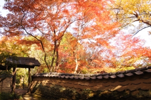 『拾華春秋』―松永記念館はなごよみ