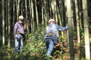 令和4年度おだわら市民学校専門課程「地域の生産力を高める」第10回を実施しました