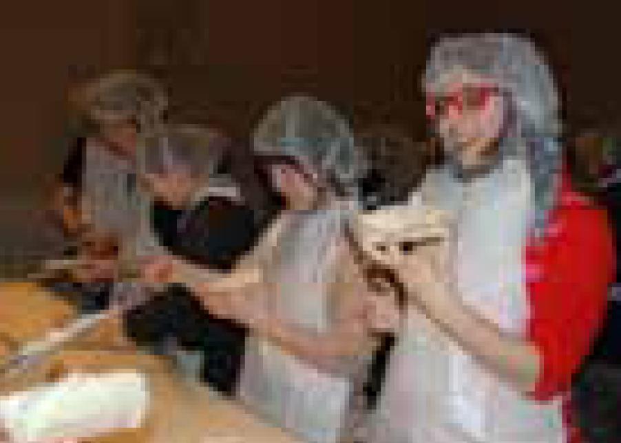 Intentemos confeccionar alimentos de pasta de pescado “kamaboko” y “chikuwa”