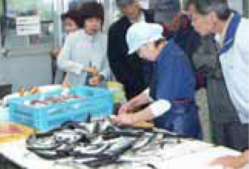 Tienda Kaneta Maeda