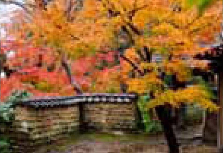 Sala Conmemorativa Matsunaga