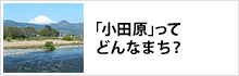 小田原ってどんなまち? 小田原ってどんなまち?