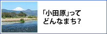 小田原ってどんなまち? 小田原ってどんなまち?
