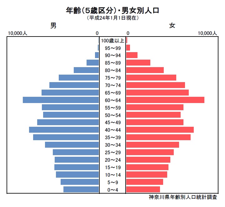 人口ピラミッド