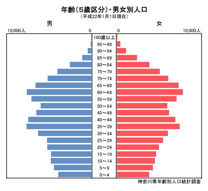 人口ピラミッド