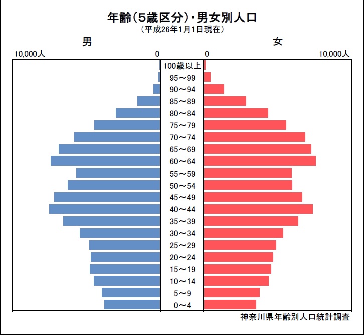 人口ピラミッド（平成26年）