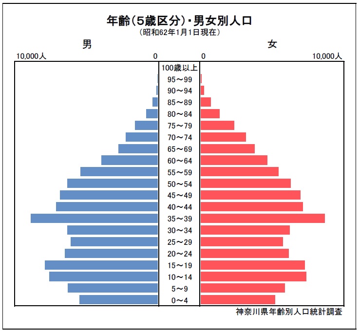 人口ピラミッド