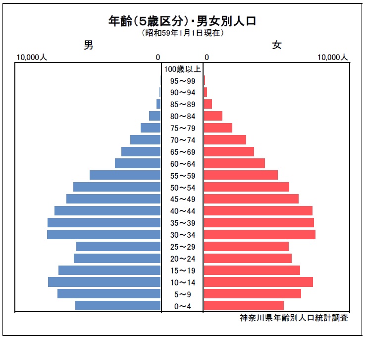 人口ピラミッド