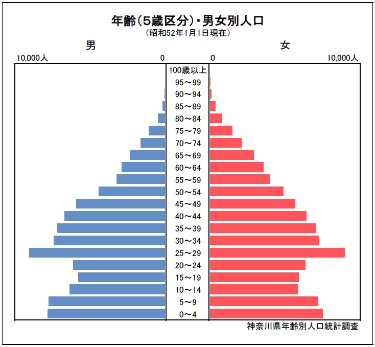 人口ピラミッド