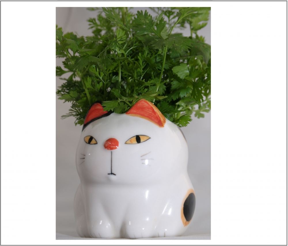 神山さん