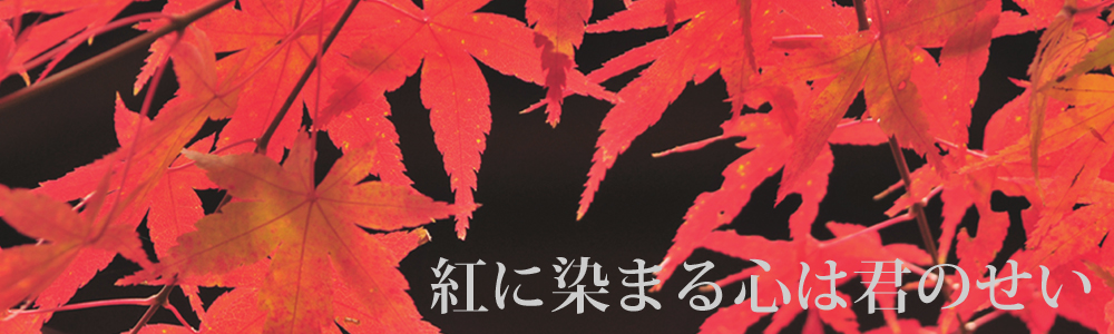 秋