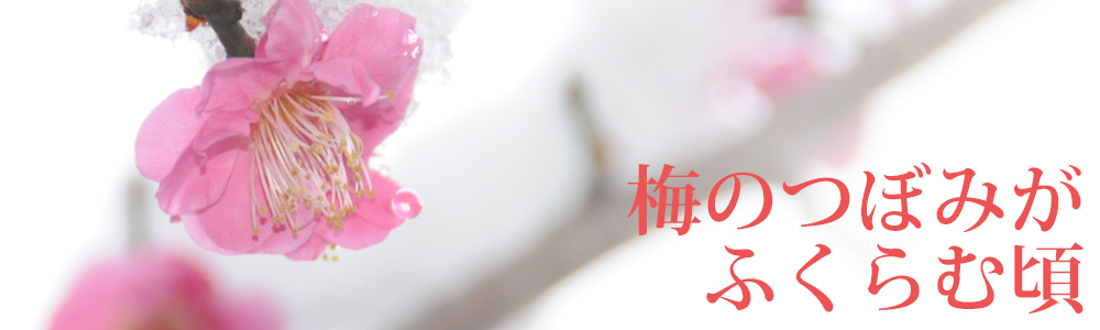 冬