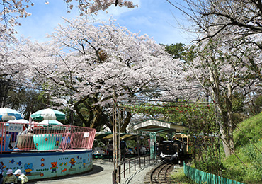 こども遊園地