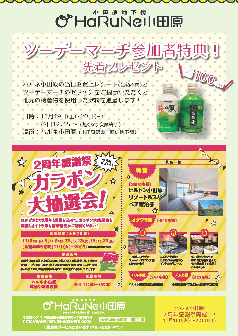 ハルネ特典チラシ