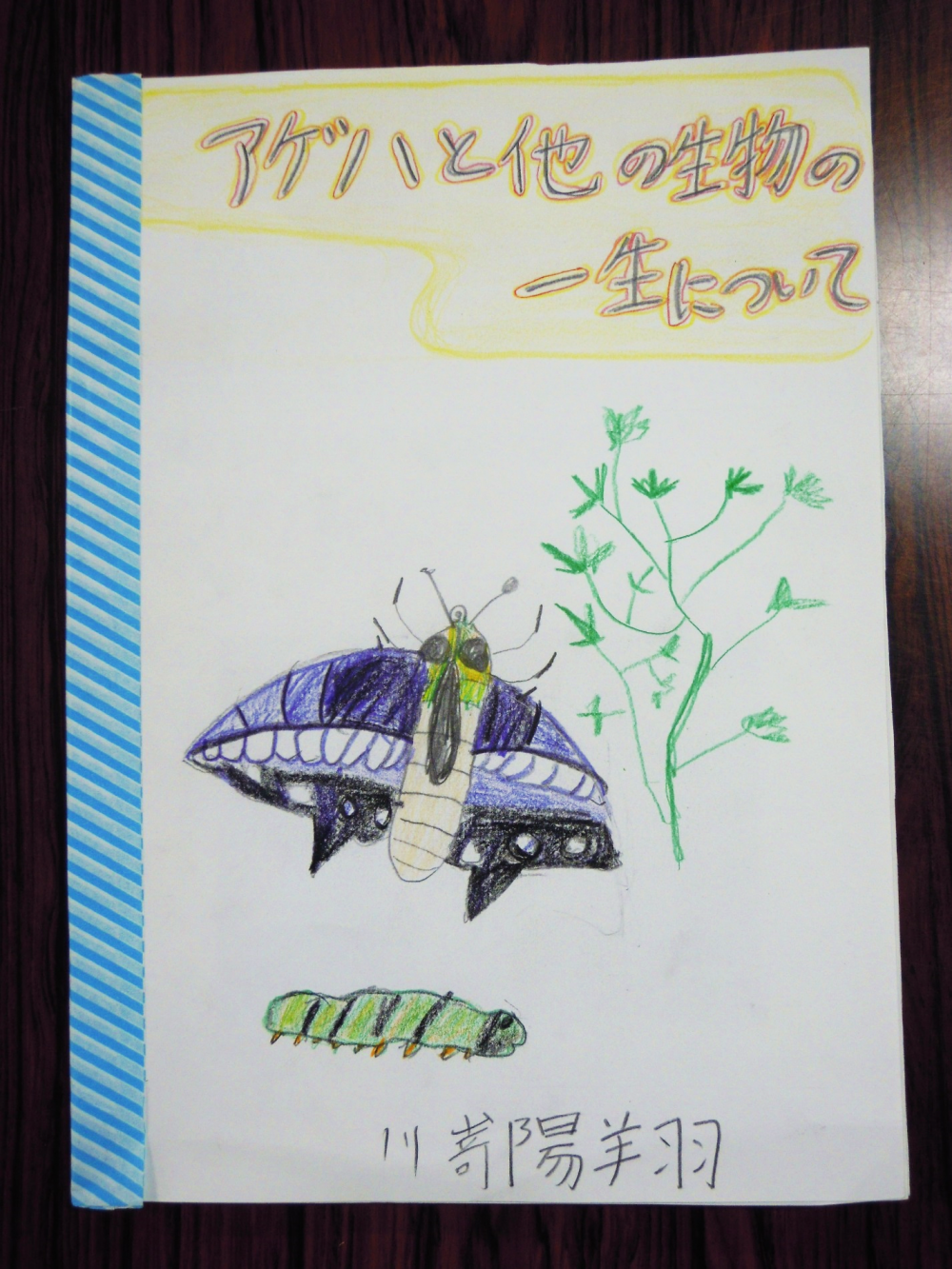 佳作