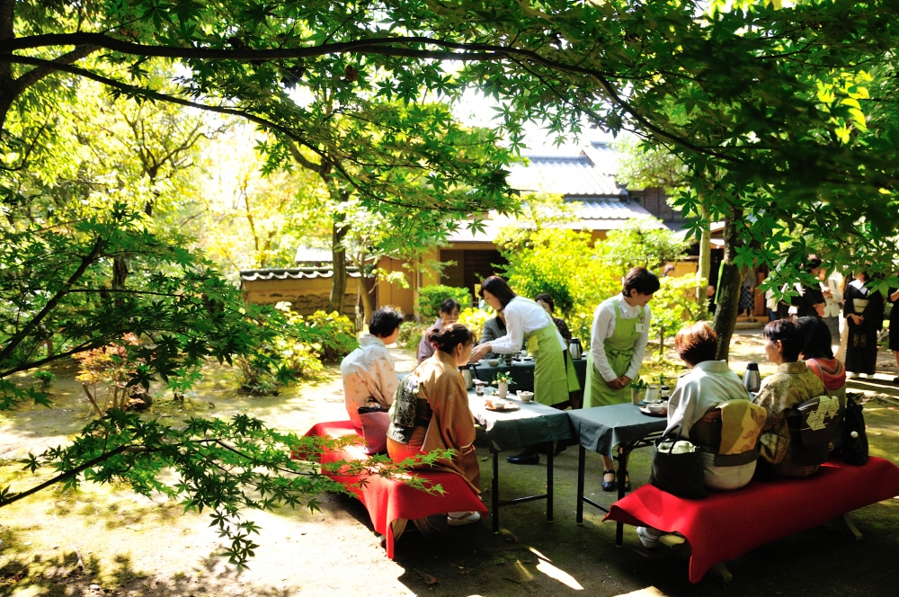 26年度足柄茶ラボ