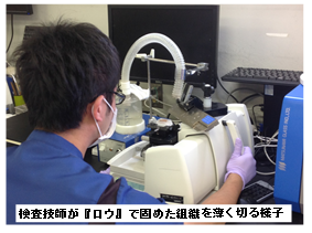 検査技師がロウで固めた組織を薄く切る様子